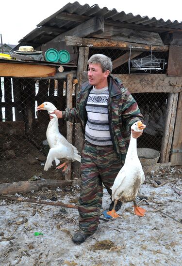 Rural life in Karabolka village, Chelyabinsk region