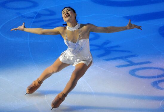 ISU Grand Prix of Figure Skating. Round 4. Exhibition gala