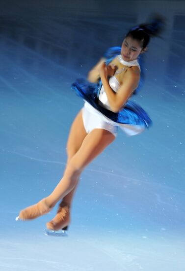 ISU Grand Prix of Figure Skating. Round 4. Exhibition gala