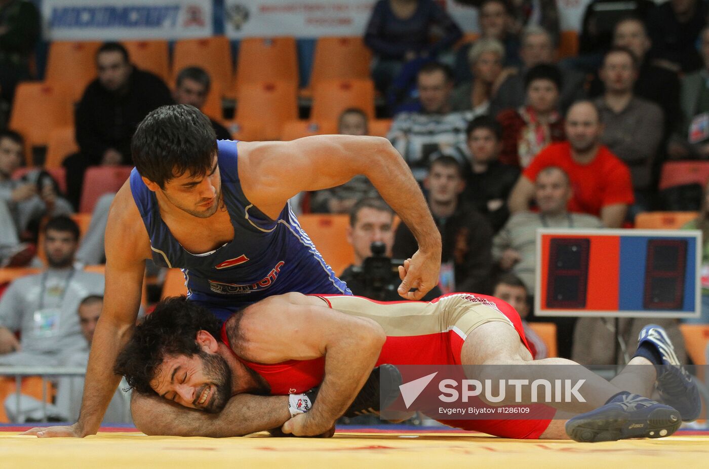 European Nations Cup in freestyle and Greco-Roman wrestling