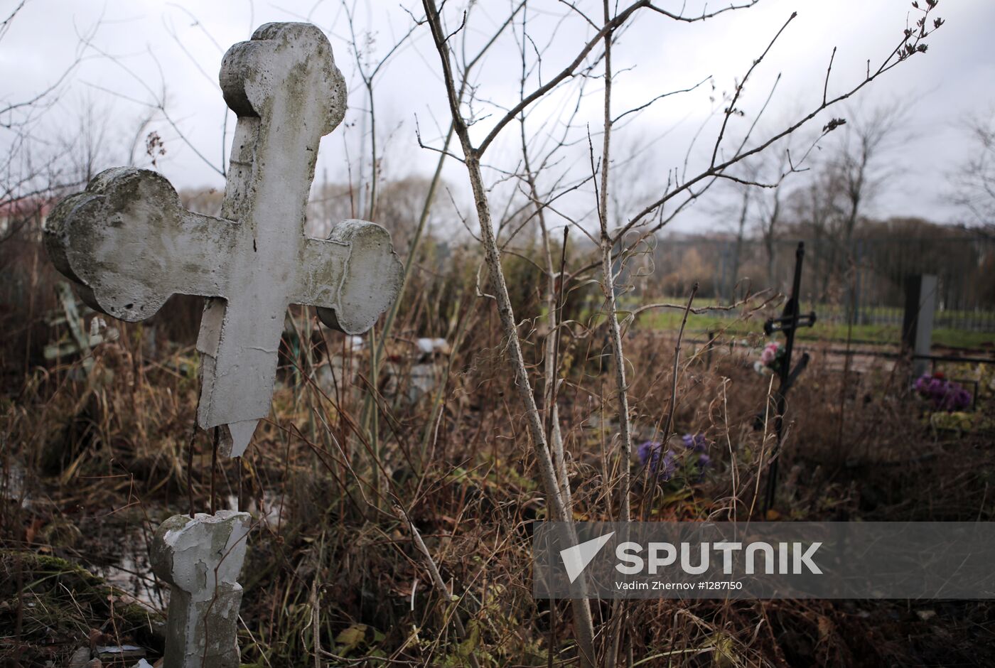Vandals ruin 14 crosses at Piskarevskoye cemetery
