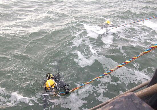 Search for missing crew of cargo ship Amur