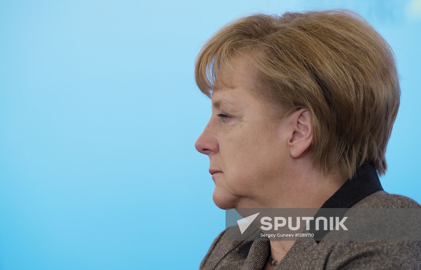 Vladimir Putin and Angela Merkel at 12th Petersburg Dialog