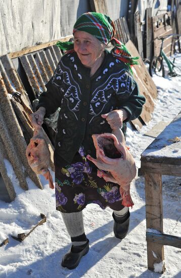 Geese slaughter after first frosts in Chelyabinsk Region