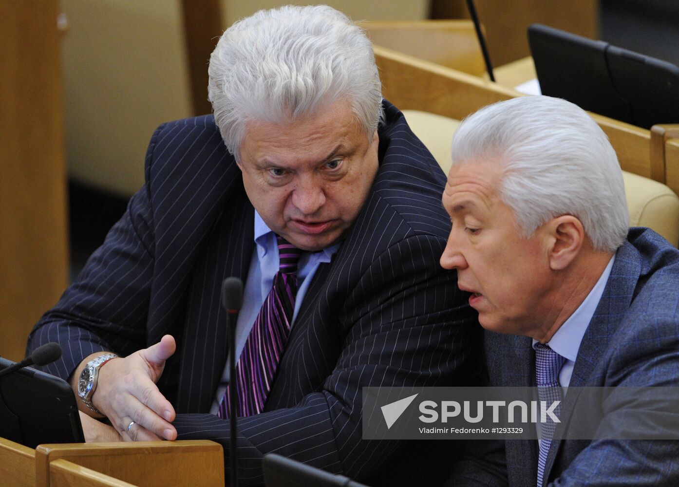 Russian State Duma holds plenary session