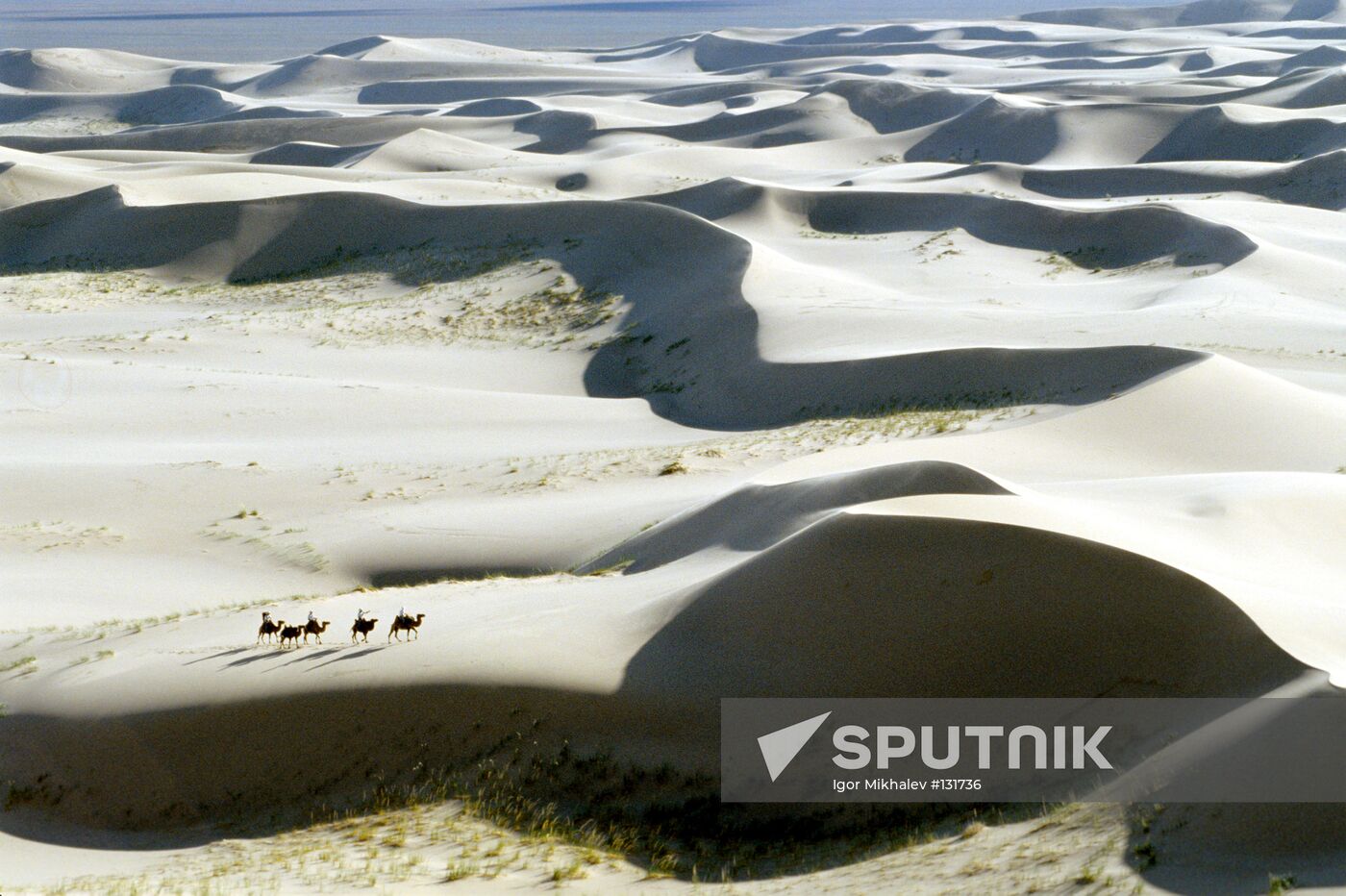 GOBI DESERT MONGOLIA