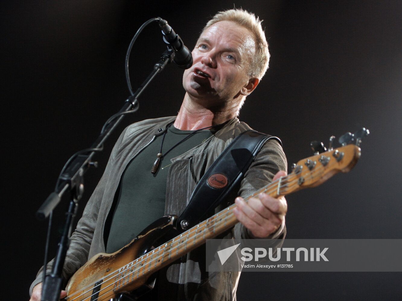 BRITISH MUSICIAN STING