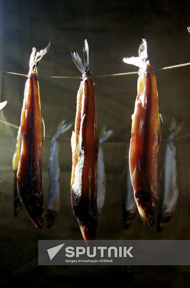 FISHING