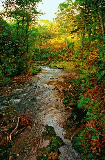 NATURE OF KURIL ISLANDS 