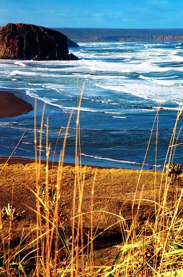NATURE OF KURIL ISLANDS 