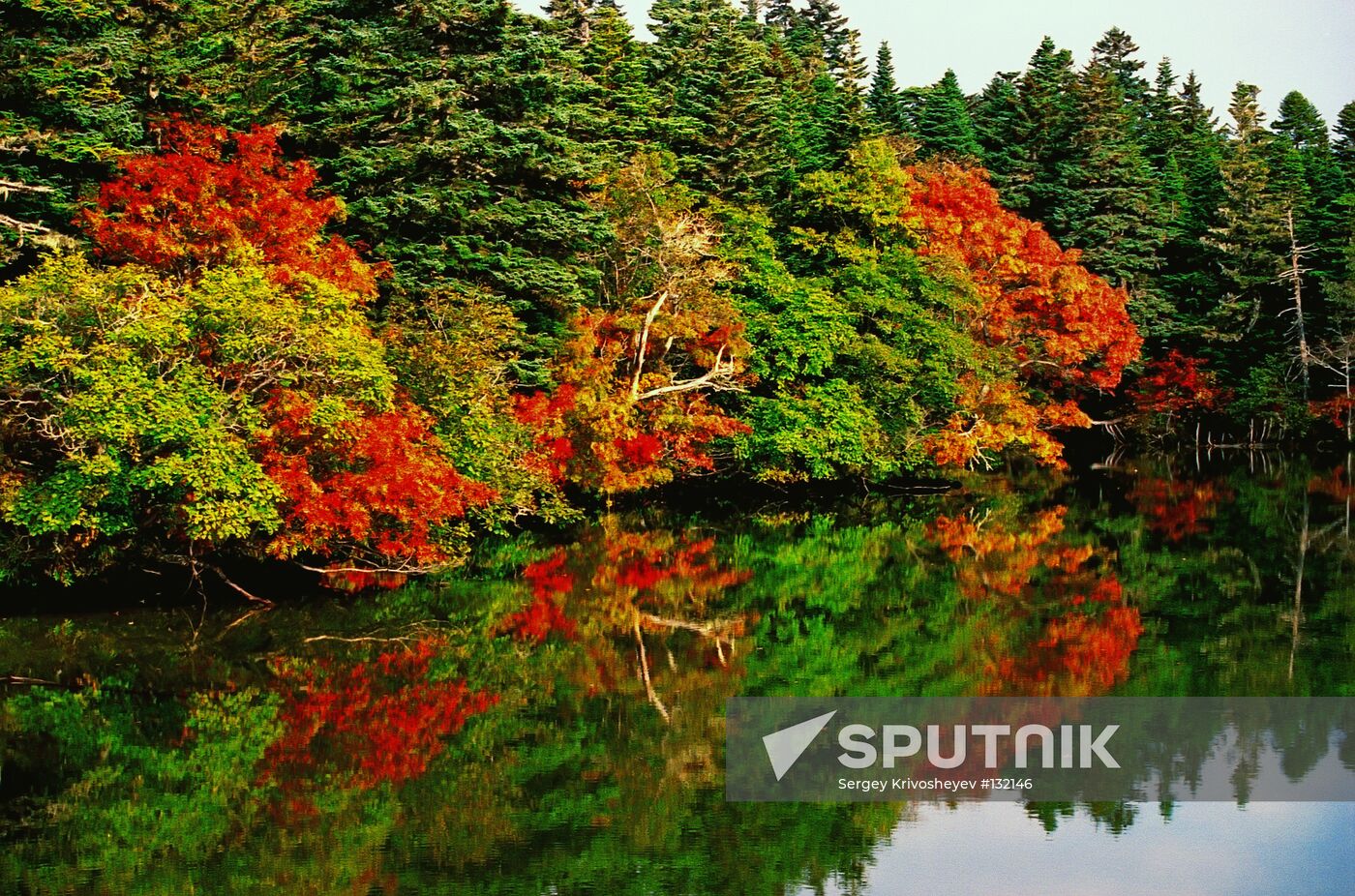 NATURE OF KURIL ISLANDS