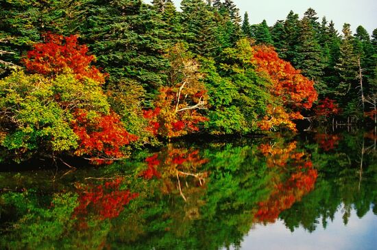NATURE OF KURIL ISLANDS 