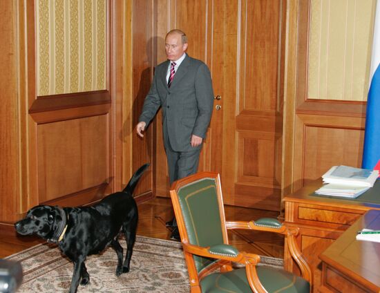 VLADIMIR PUTIN