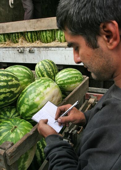 MELON TRADE