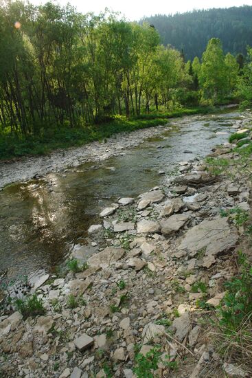 NATURE OF KEMEROVO REGION 
