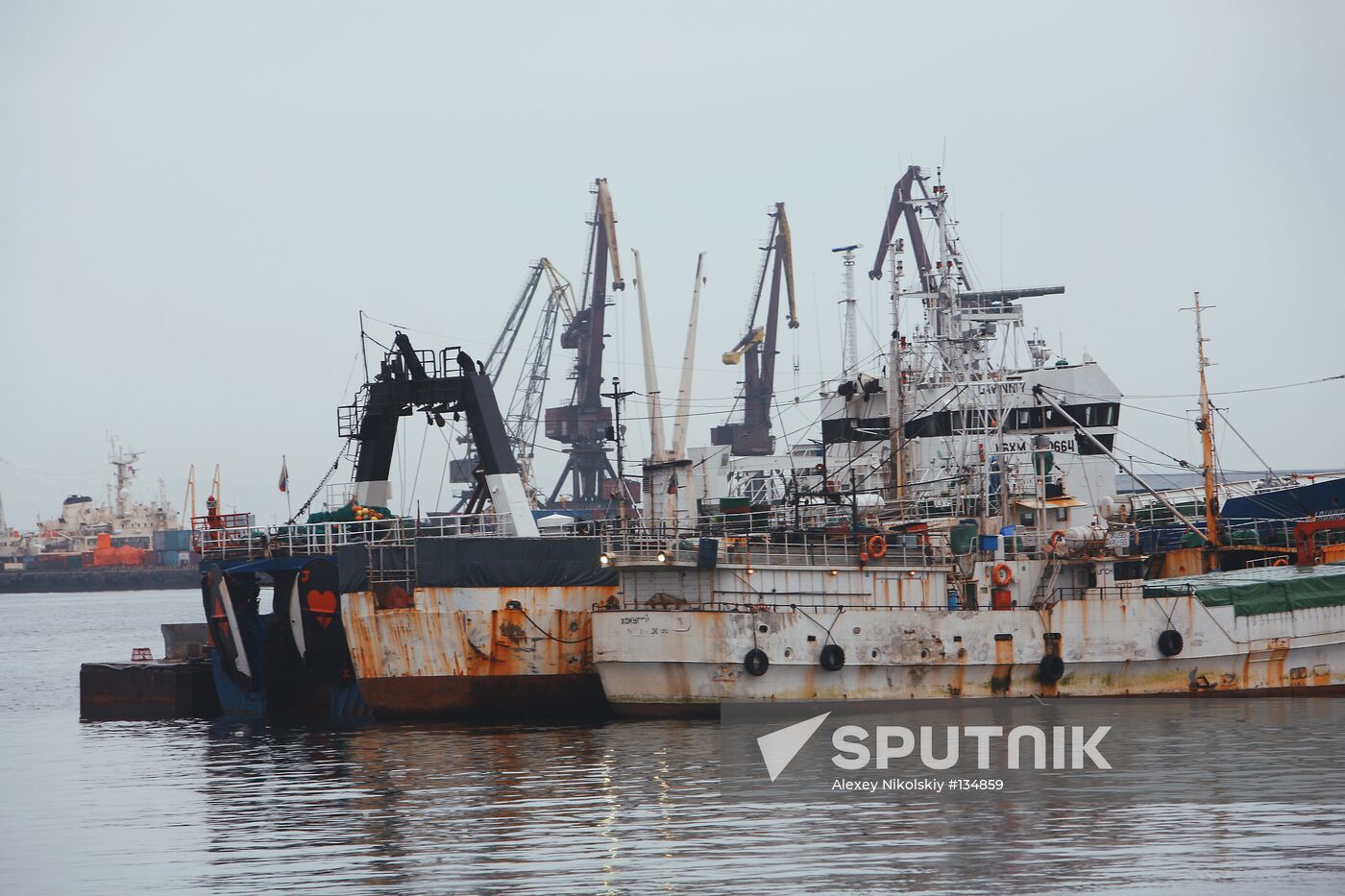 IN PORT 
