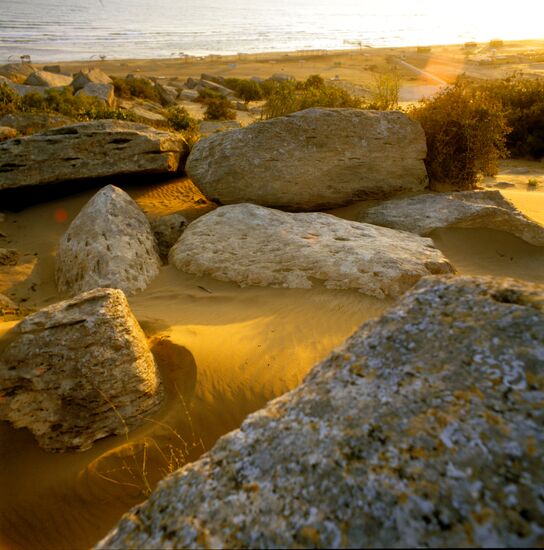 CASPIAN SEA SHORE