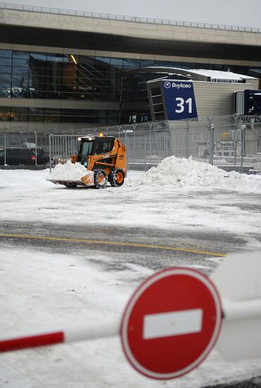 Vnukovo airport cleared from snow