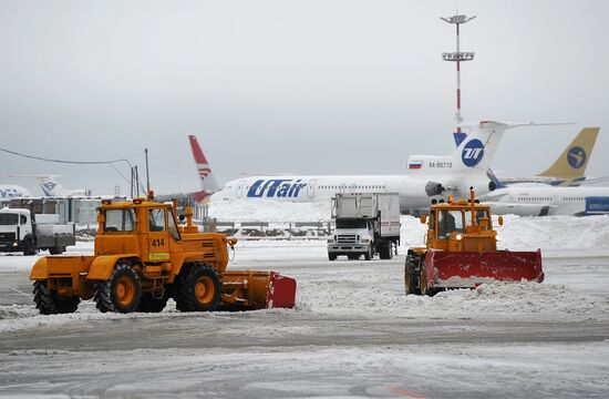 Vnukovo airport cleared from snow