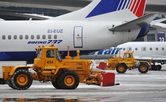 Vnukovo airport cleared from snow