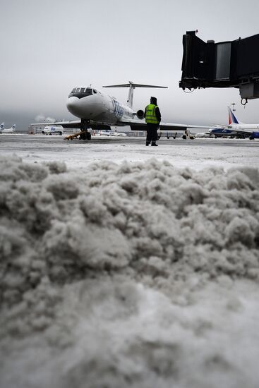 Vnukovo airport cleared from snow
