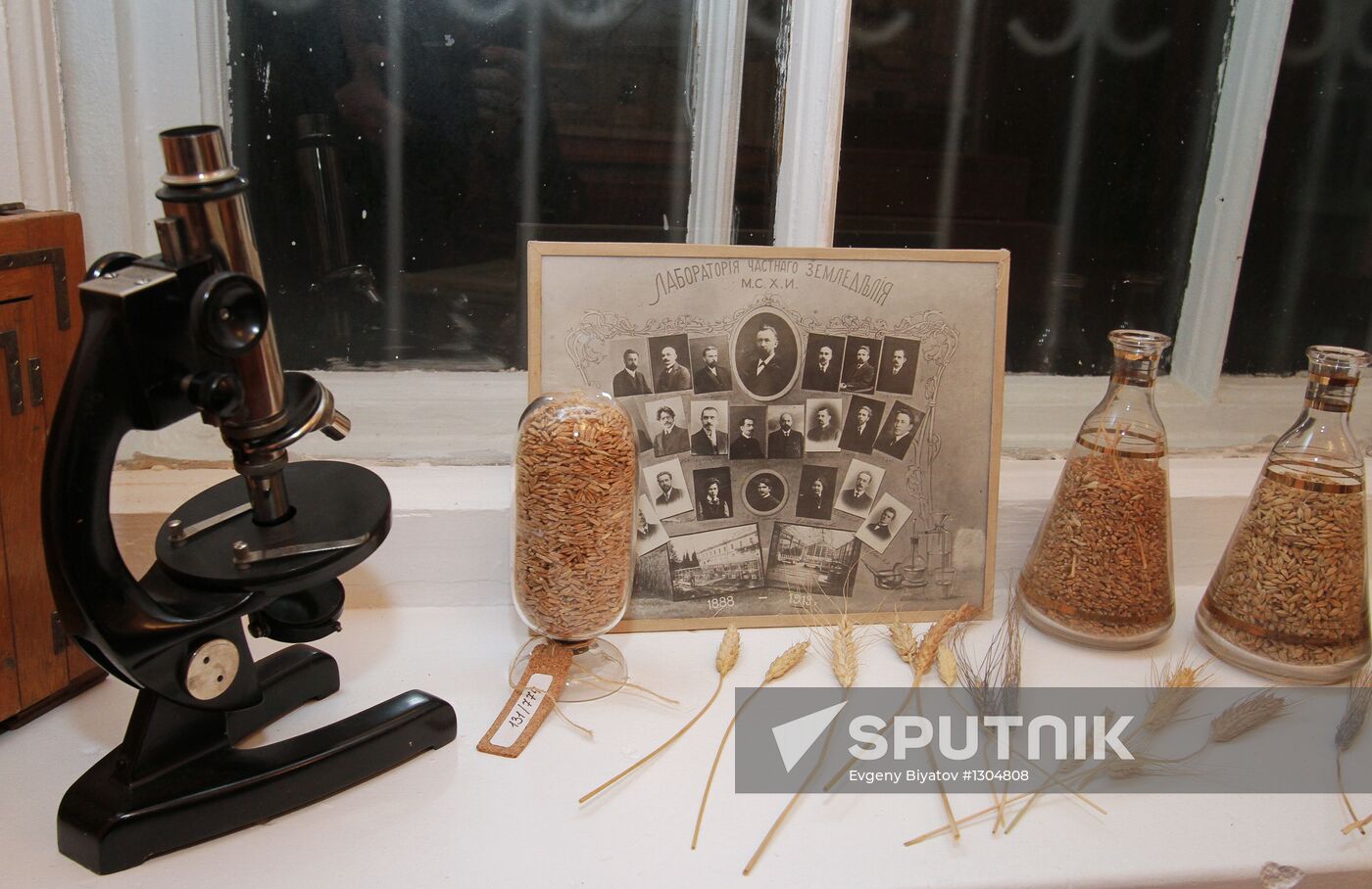 N.I. Vavilov Museum at Timiryazev Academy