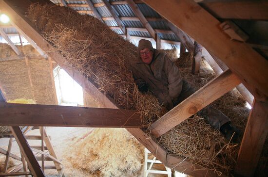 Pensioners L. and V.Tolstoukhov build house of straw in Altai