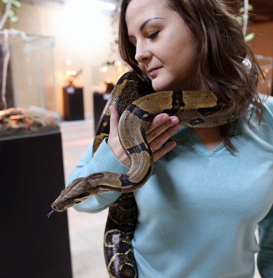 Reptile show in Kaliningrad