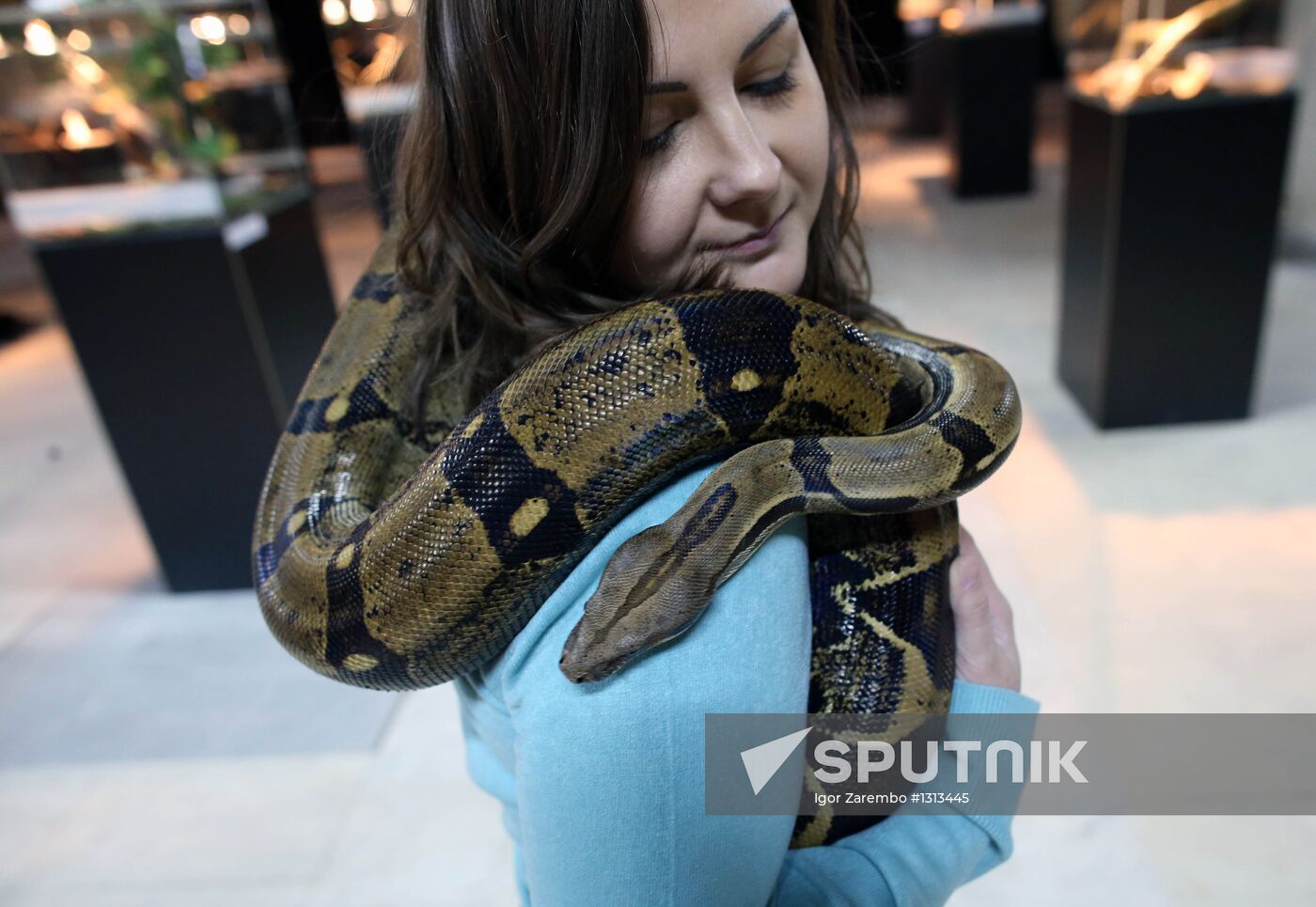 Reptile show in Kaliningrad