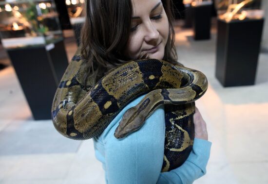 Reptile show in Kaliningrad