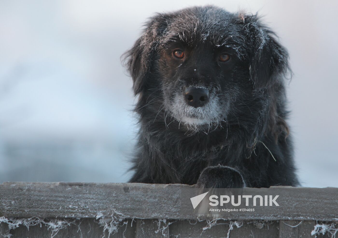 Severe cold in Russian regions