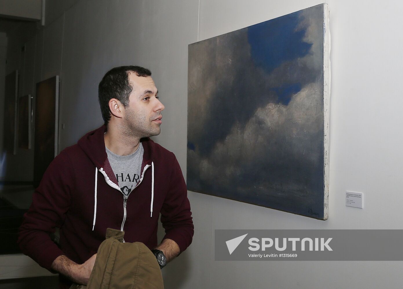 Opening of Alexandra Vertinskaya's exhibition "Partly Cloudy"