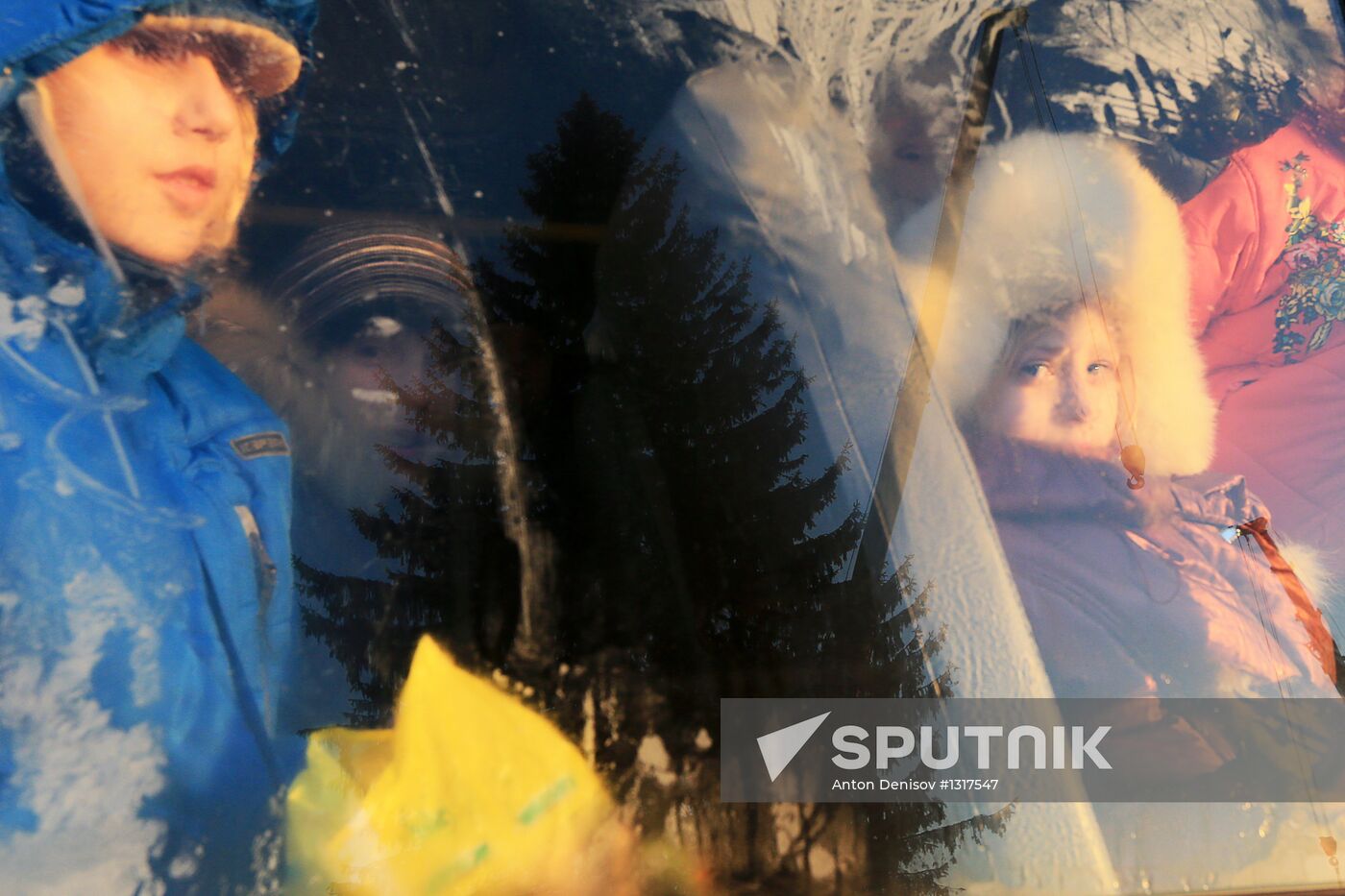 Cutting down the main holiday tree in Moscow suburbs