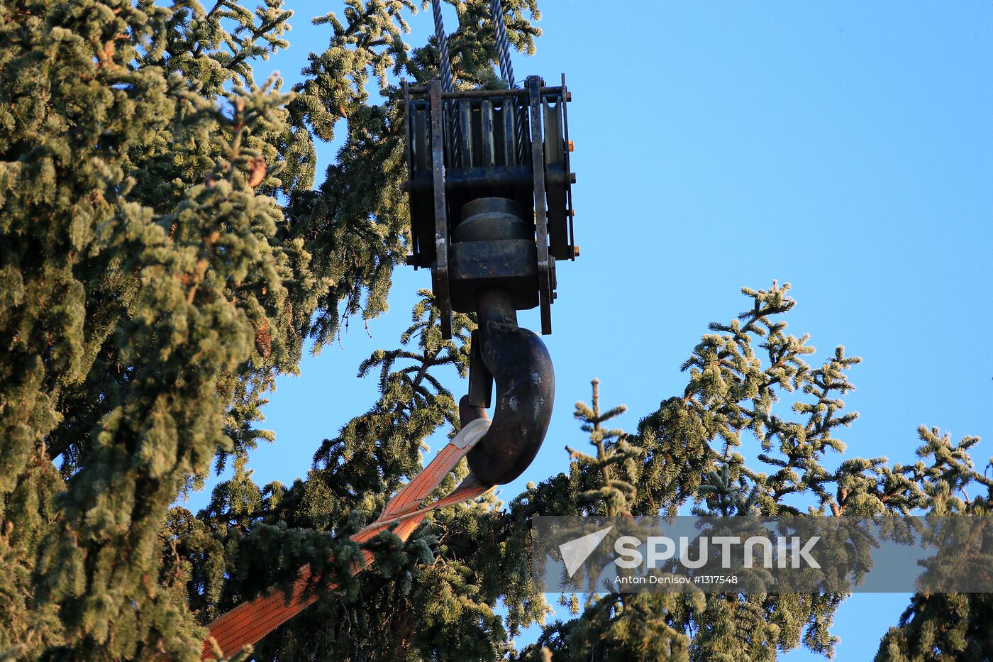 Cutting down the main holiday tree in Moscow suburbs