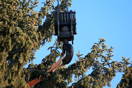 Cutting down the main holiday tree in Moscow suburbs