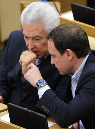 State Duma plenary meeting