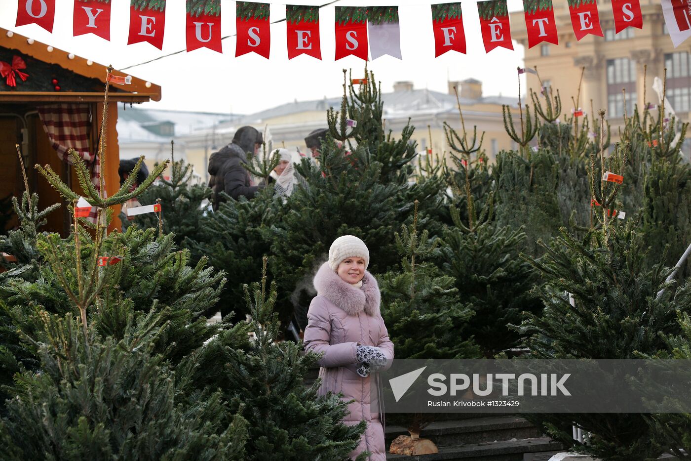 Strasbourg Christmas Fair in Moscow