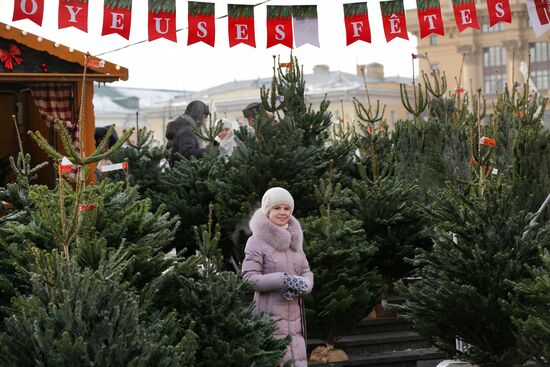 Strasbourg Christmas Fair in Moscow