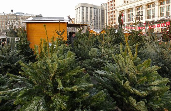Strasbourg Christmas market in Moscow
