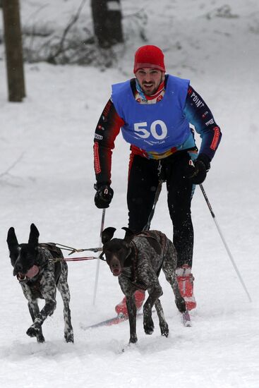 Altyn Chana 2013 sled dog races in Zelenodolsk