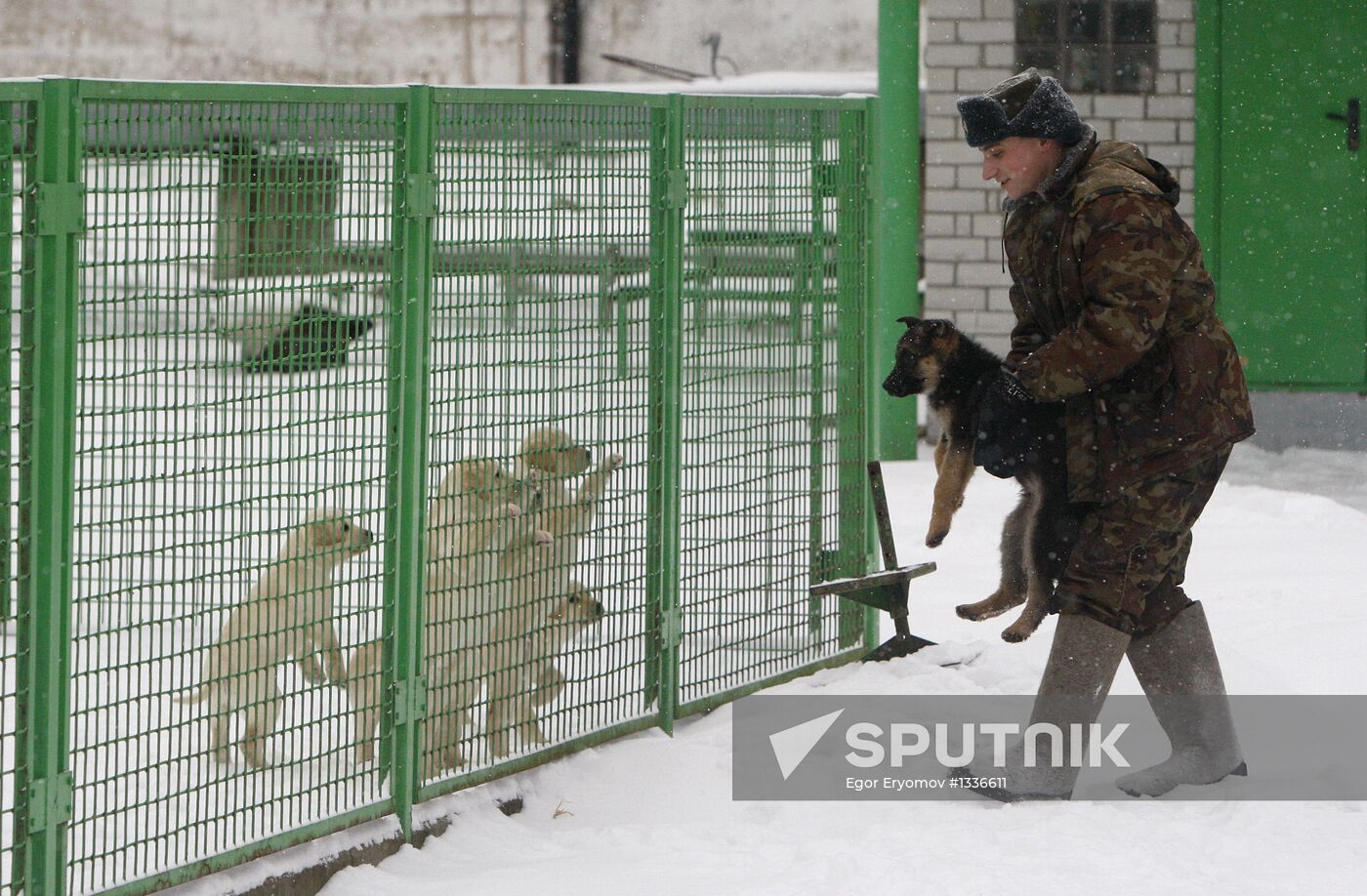 Dog training center for border troops