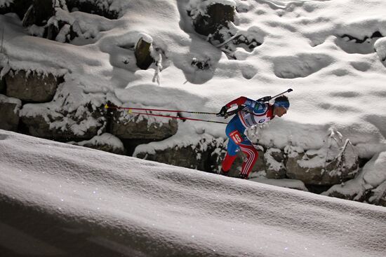 IBU Biathlon World Cup. 5th stage. Men's sprint