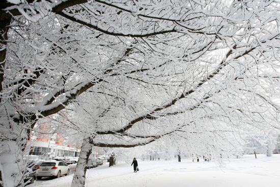 Severe frost in Belarus