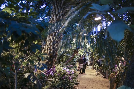Orchids greenhouse in botanical garden of MSU
