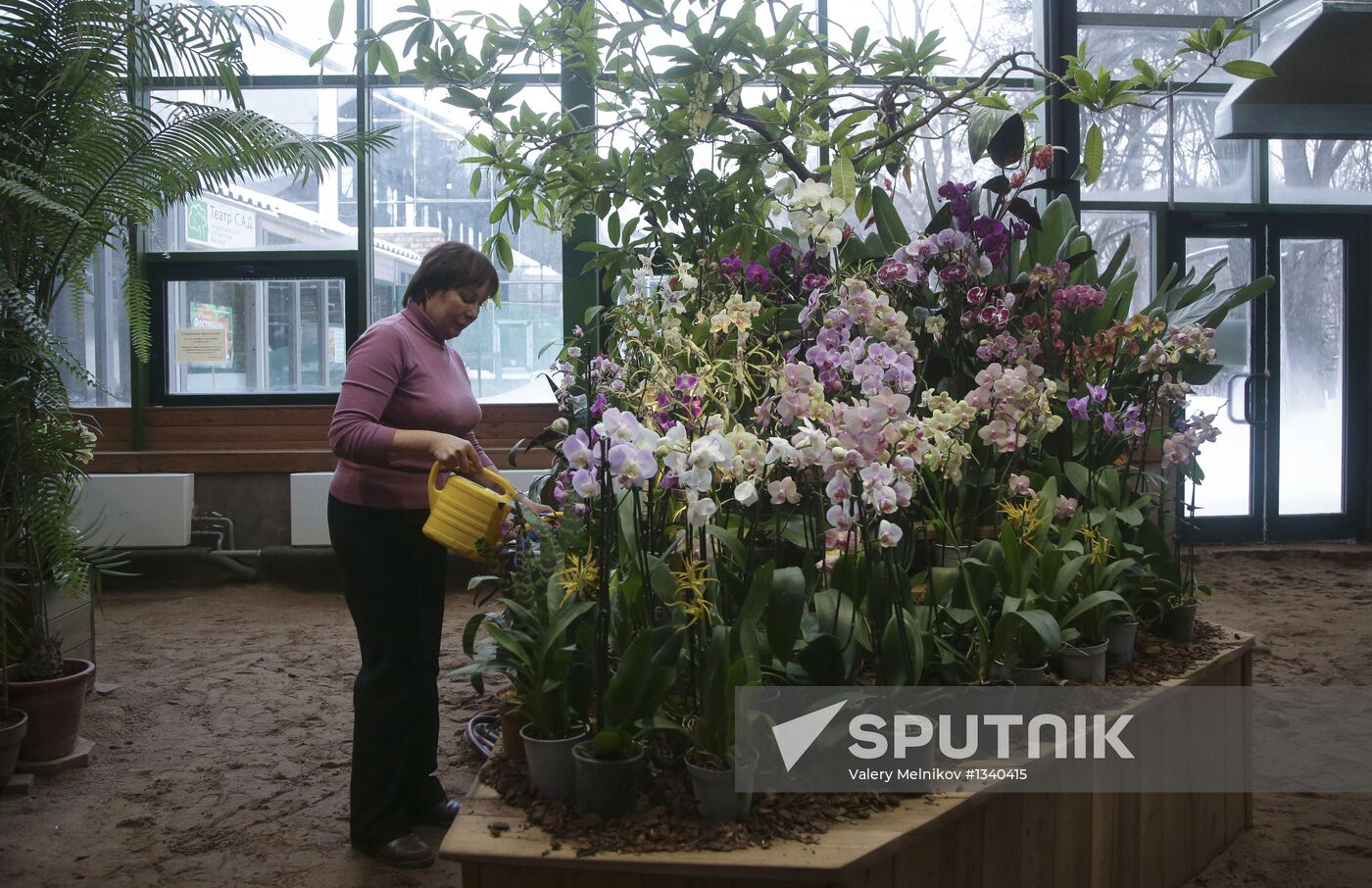 Orchids greenhouse in botanical garden of MSU