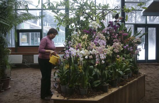 Orchids greenhouse in botanical garden of MSU