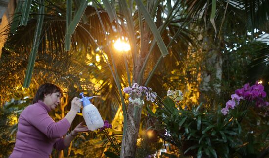 Orchids greenhouse in botanical garden of MSU