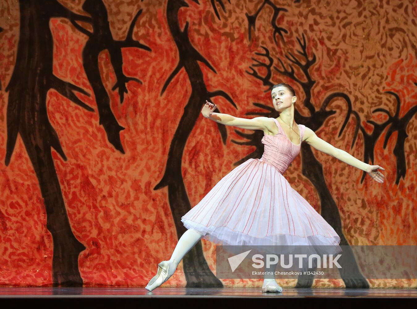 Dress rehearsal of ballet Beauty & the Beast