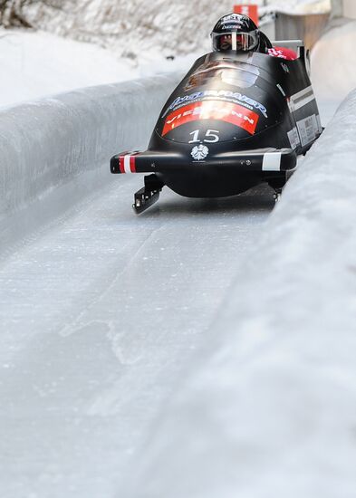 FIBT Bobsleigh and Skeleton European Championships. Day three
