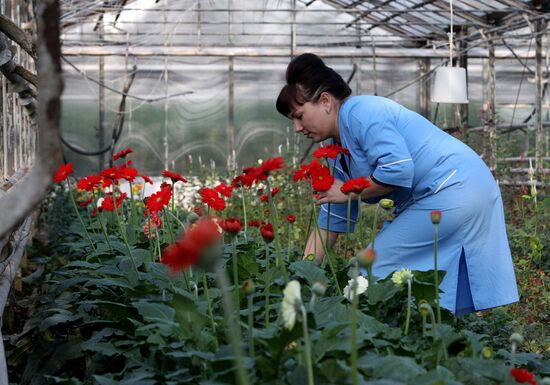 Work at Far East agricultural greenhouse